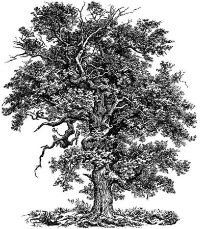 Гравюра на дереве