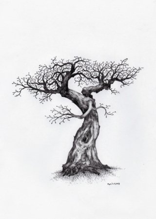 Дерево эскиз