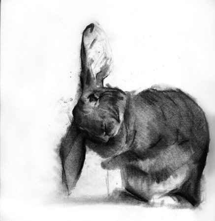 Эскизы углем