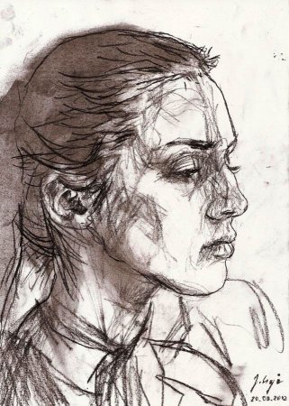 Зарисовки животных углем