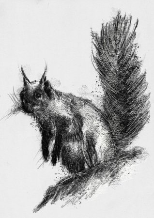 Зарисовки углем