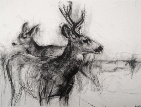 Наброски углем