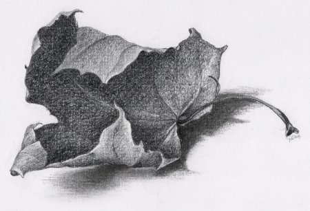 Портретные Наброски и зарисовки