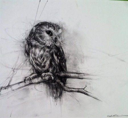 Рисование углем для начинающих