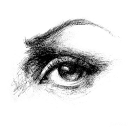 Животные углем