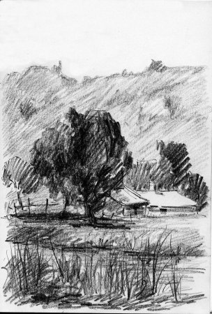 Зарисовки животных