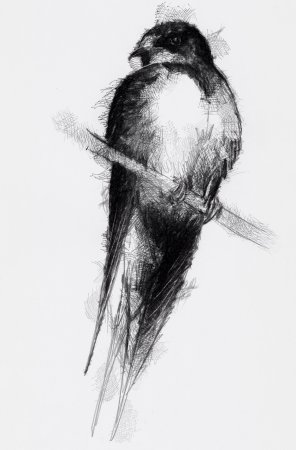 Графика углем пейзаж