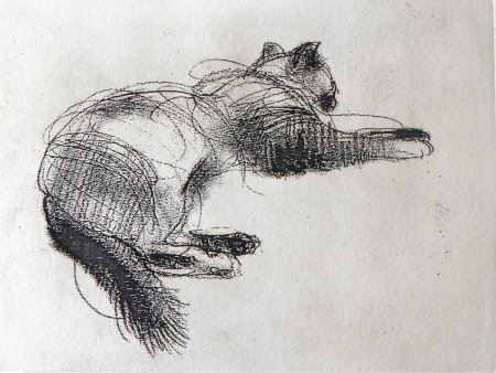 Nathan Fowkes портреты углем