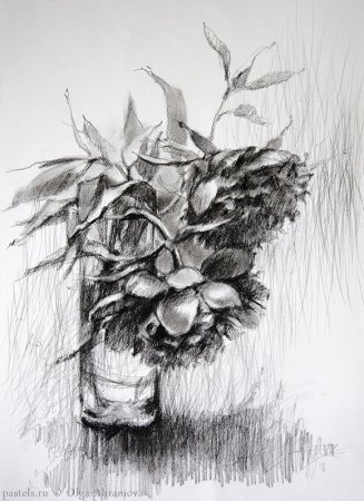 Рисунки углем