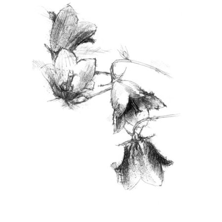 Наброски глаз карандашом