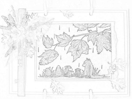 Осенние эскизы карандашом