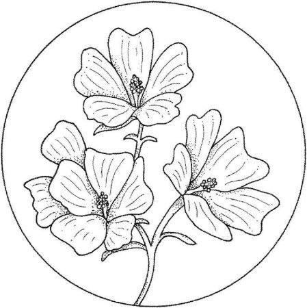 Эскиз декоративной тарелки