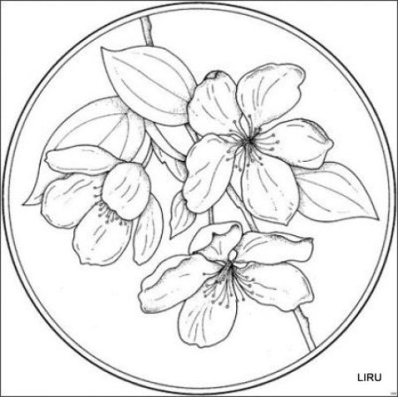 Раскраска цветы в круге