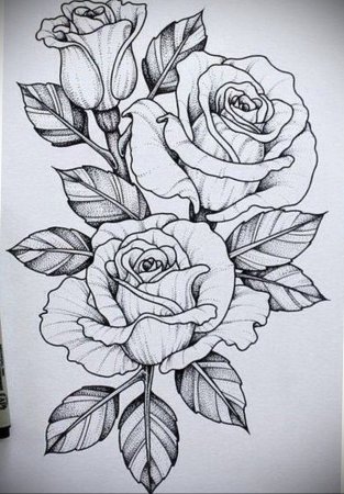 Букет роз карандашом