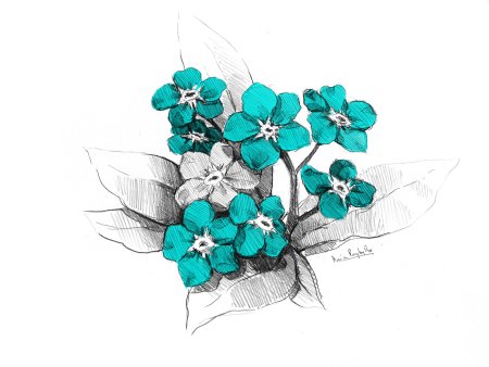 Бело-бирюзовые цветы