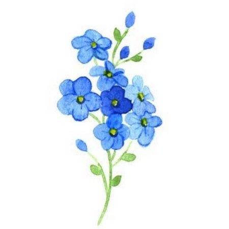 Рисование незабудки