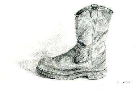Рефренс женские сапоги