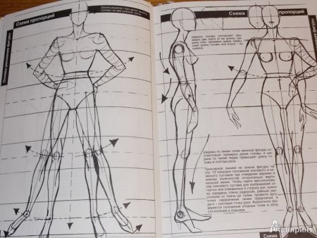 Основа для рисунка человека