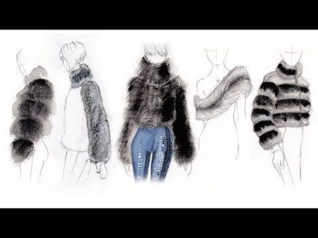 Шерсть эскиз