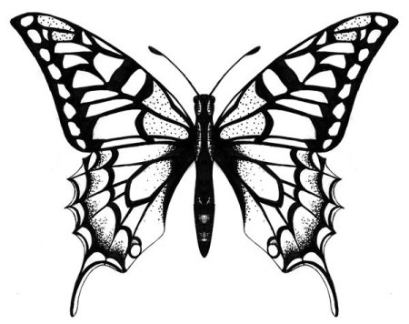 Татуировка бабочка эскиз