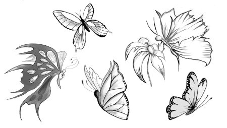 Бабочка скетч