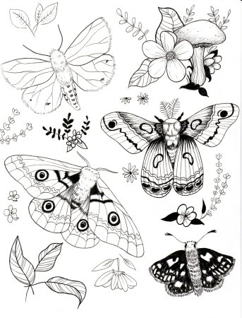 Бабочка эскиз