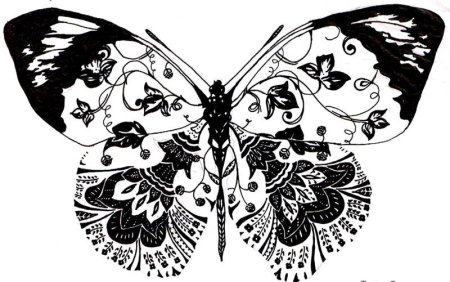 Графическое изображение бабочки