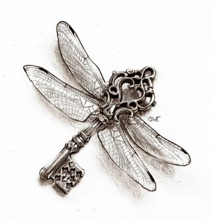 Тату Стрекоза эскизы