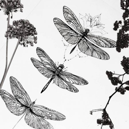 Насекомые линером