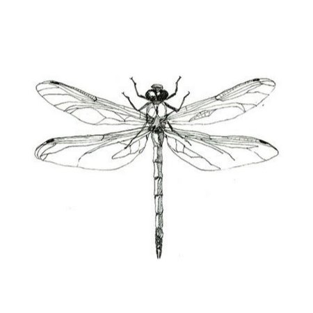 Рисунок для тату Стрекоза