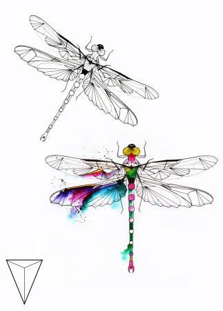 Стрекоза Графика