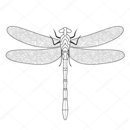 Злая Стрекоза