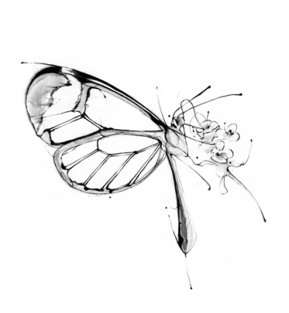 Эскиз Стрекоза в стиле скетч