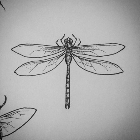 Татуировка Стрекоза эскизы