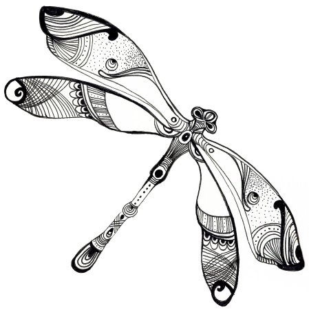 Стрекоза Графика