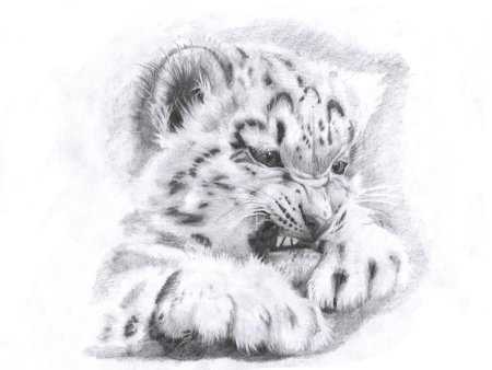 Рисунки карандашом