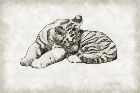 Зарисовки животных тигр