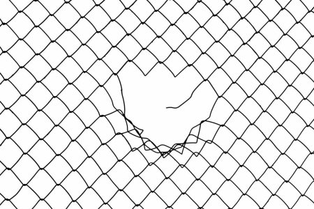 Сетка рабица эскиз