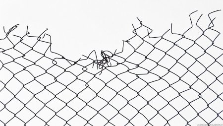 Порванная сетка рабица