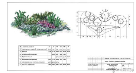 Миксбордеры в ландшафтном дизайне схемы