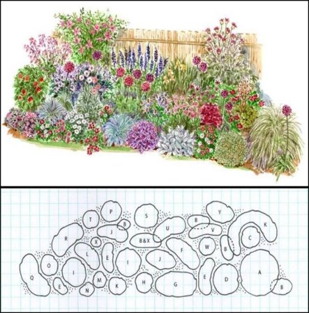 Миксбордер схема с названиями растений