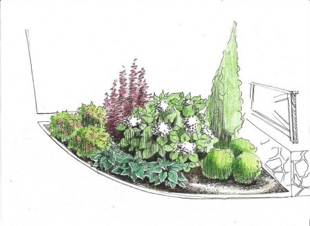 Рабатка клаузура