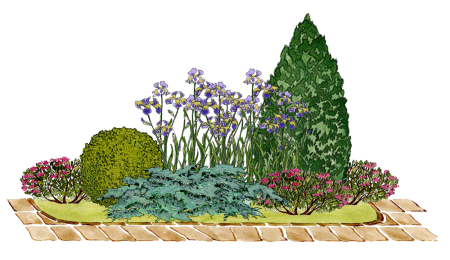 Скетчи миксбордеров