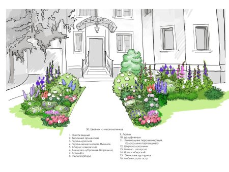 Схема цветника миксбордера