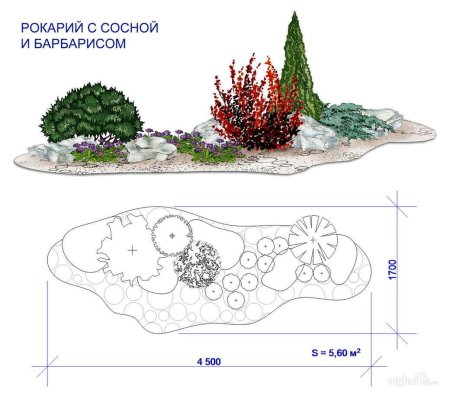 Схема посадки рокария