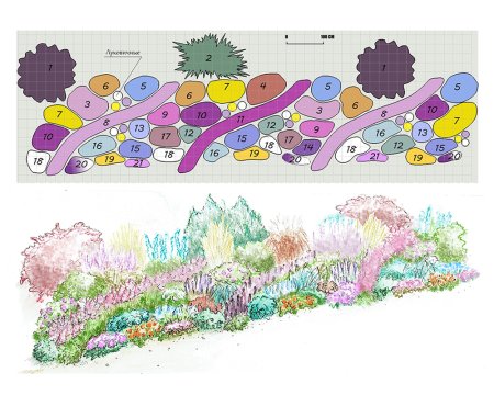 Пит Удольф цветники схемы