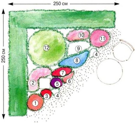 Цветочная клумба схема посадки