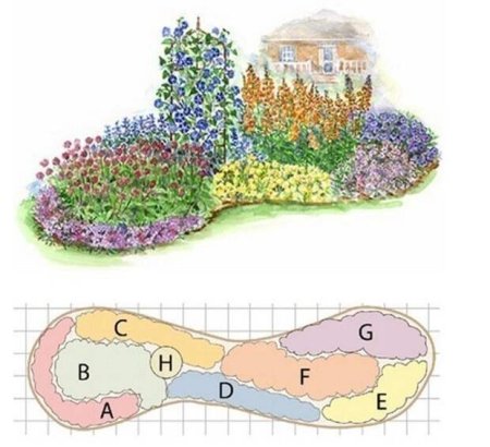 План цветника миксбордера