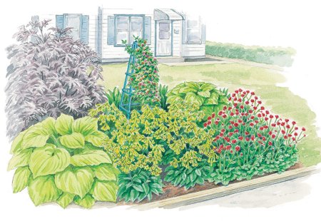 Проект миксбордера