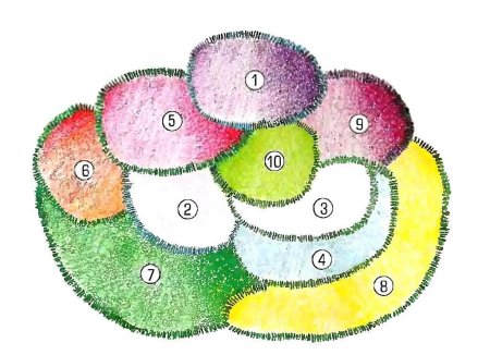 План цветника